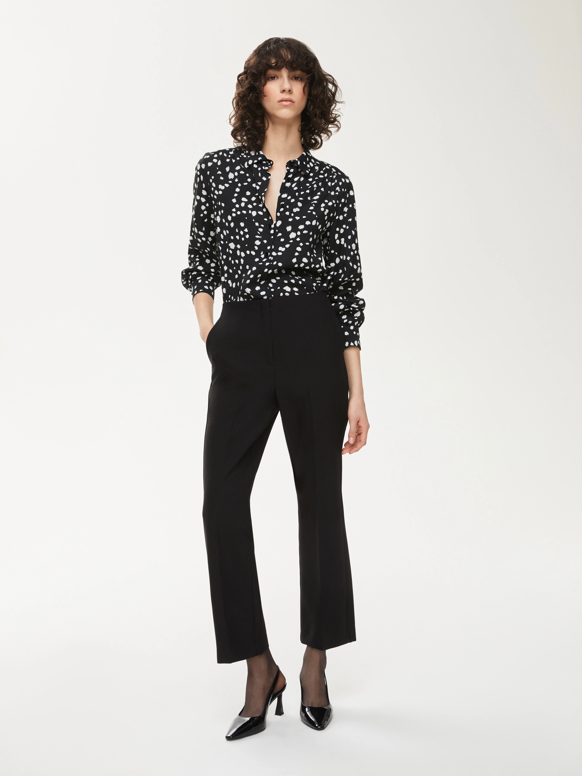 7136025102003-a-iguana