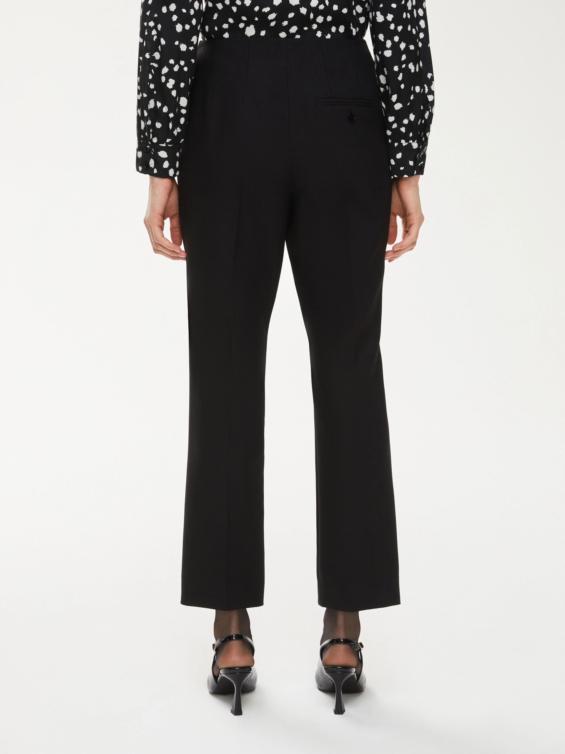 7136025102003-b-iguana